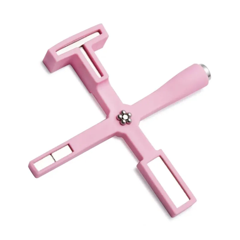 Tuesday in Love 5 in 1 Cat Eye Magnetic Stick with five interchangeable heads in light pink case