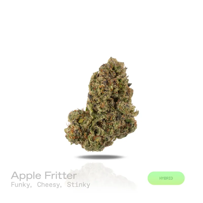 Hipuffy Apple Fritter THCa Flower (Indoor) (Hybrid) showing frosty green and purple buds with orange pistils