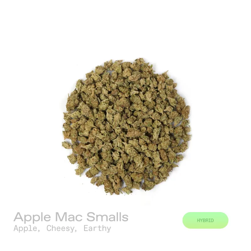Hipuffy Apple Mac THCa Flower (Indoor) (Hybrid) small buds showing green and purple tones with orange pistils
