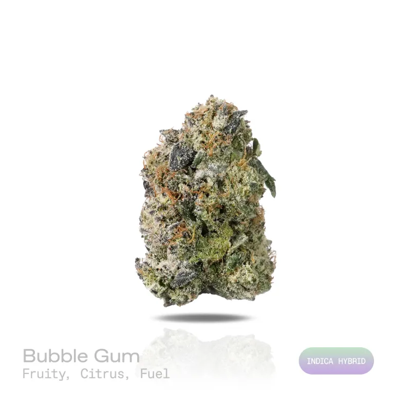 Hipuffy Bubblegum THCa Flower (Exotic) (Indica Hybrid) spring green and purple buds with orange pistils