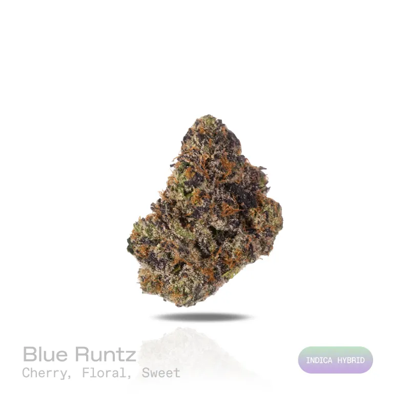 Hipuffy Blue Runtz THCa Flower exotic indica hybrid cannabis with purple accents