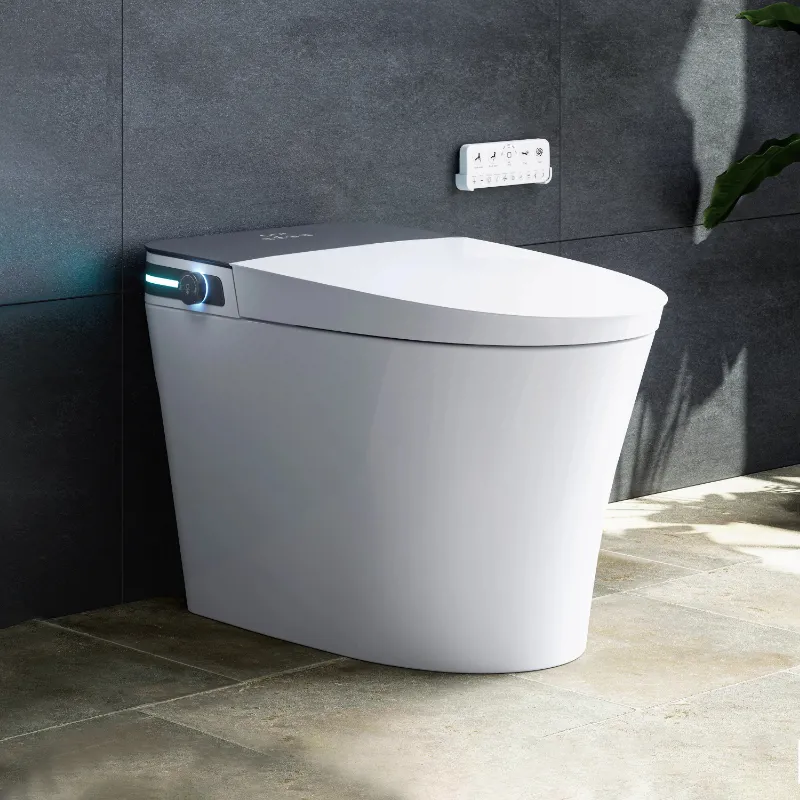 HOROW T37D 10 inch rough in bidet toilet with dryer and side knob control