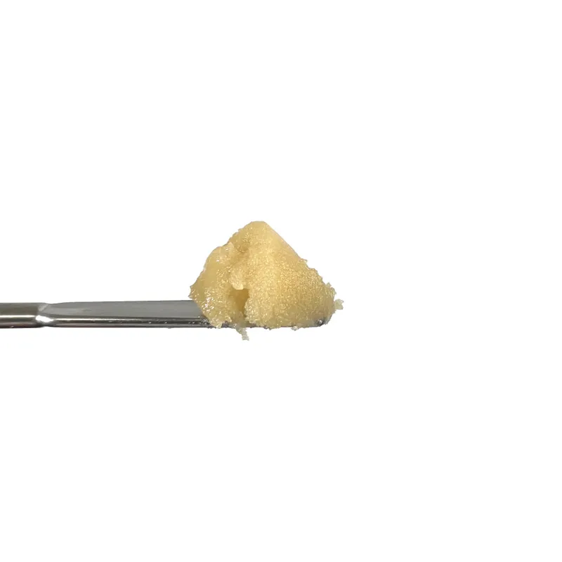 Hipuffy Biscotti x Kush Mints THCa Badder concentrate for dabbing