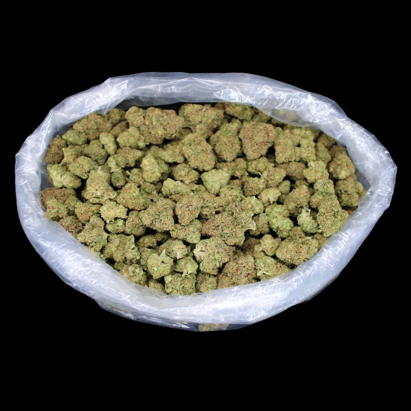 THCA Small Buds Gotti OG THCA Don Flower, full sized buds in mylar bag