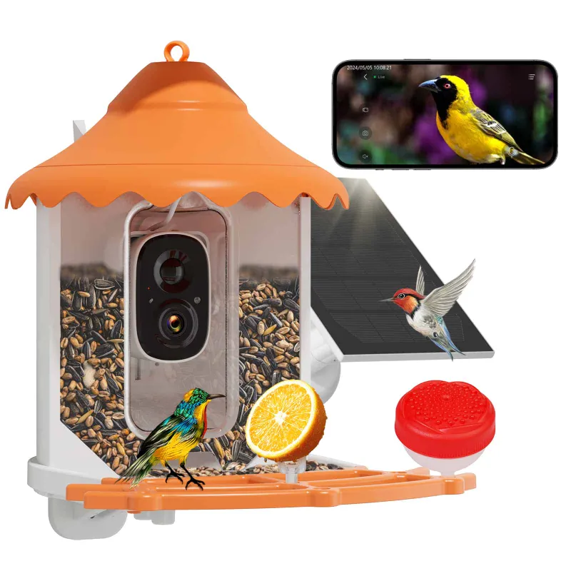 Hiseeu 2K 3MP bird feeder camera with seed hopper mounted on pole