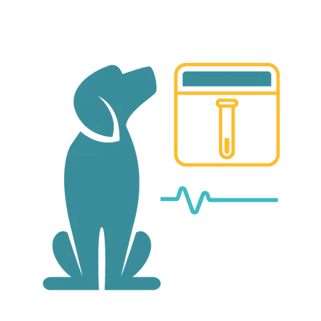 Affordable Pet Labs Distemper and Parvo vaccine titer test vial sitting on a wooden table next to a dog nose