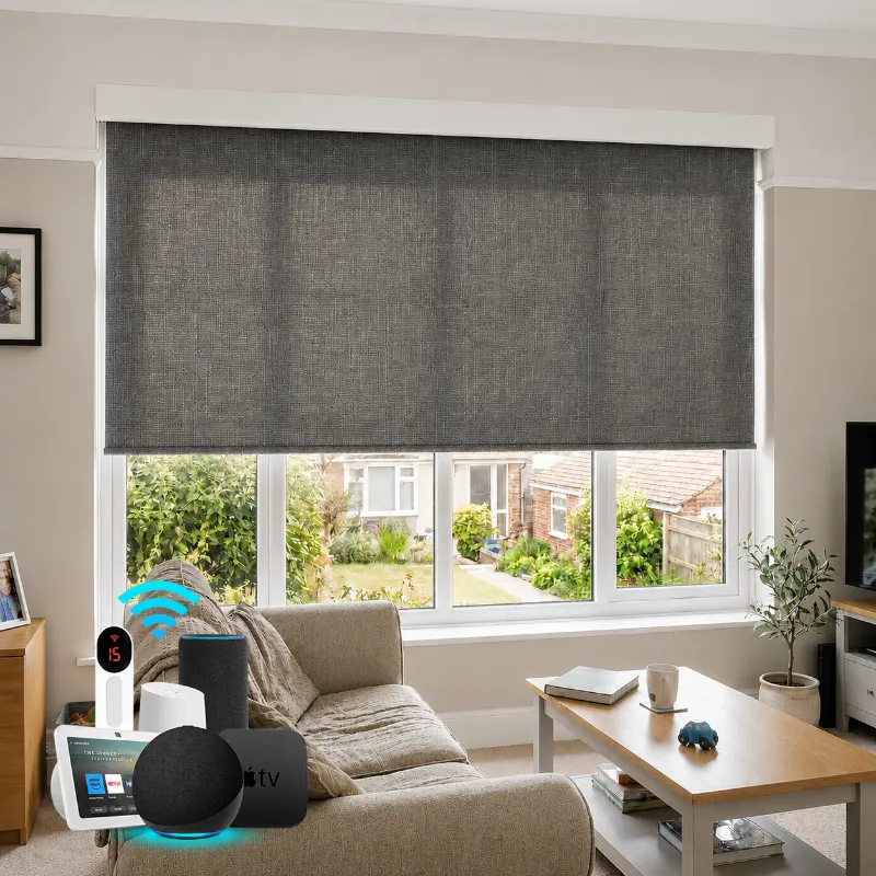 Bringnox Motorized Light Filtering Roller Shades 70% Blackout Bouvardia on residential window