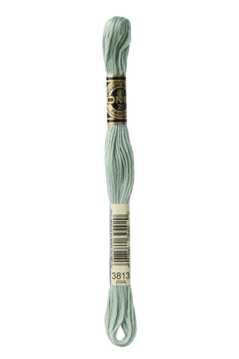 LETISTITCH DMC Mouliné Spécial 117MC-E_3813 embroidery thread skein in Lichen Green