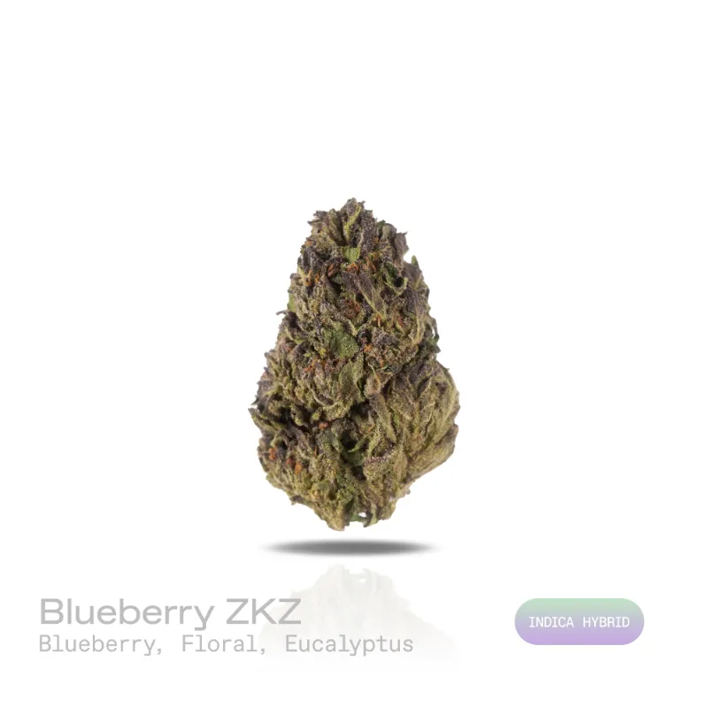 Hipuffy Blueberry ZKZ THCa Flower Indoor Indica Hybrid dense buds with blue hues and orange pistils