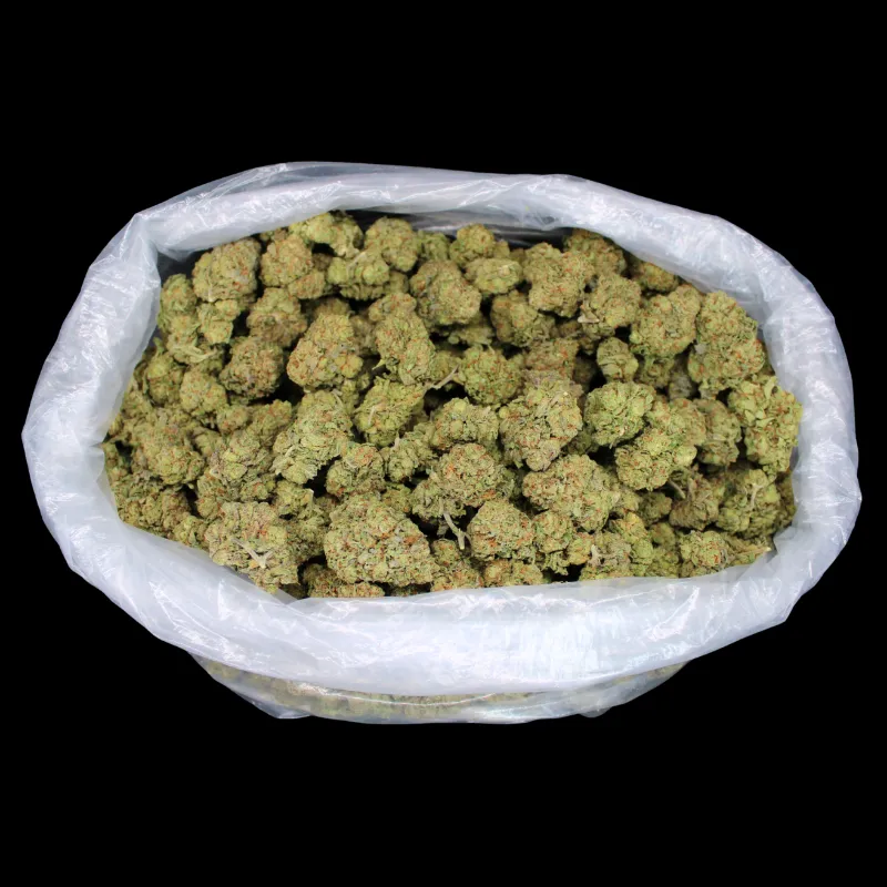 THCA Small Buds Chrome Dome THCA Flower citrus-scented greenhouse buds
