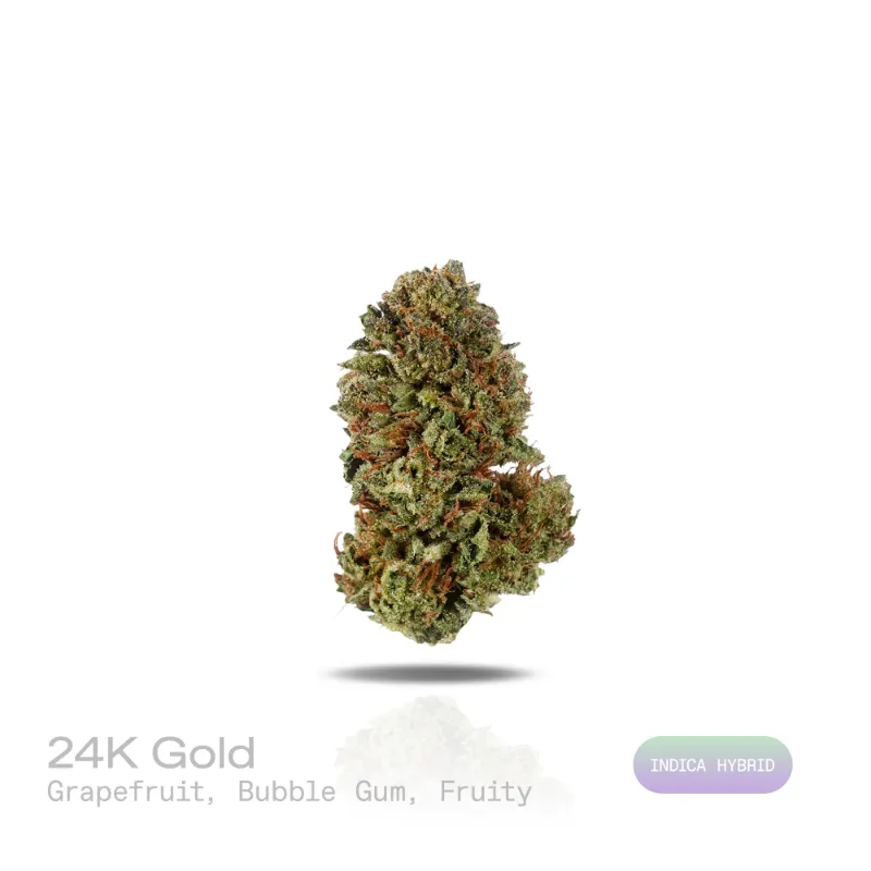 Hipuffy 24K Gold THCa Flower indoor indica hybrid with purple hues and orange pistils