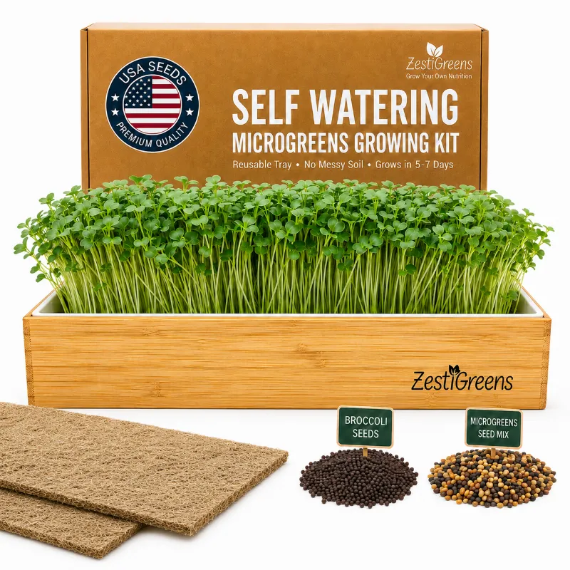 ZestiGreens Microgreens Growing Kit Self Watering with wooden tray and fresh microgreens on a kitchen counter
