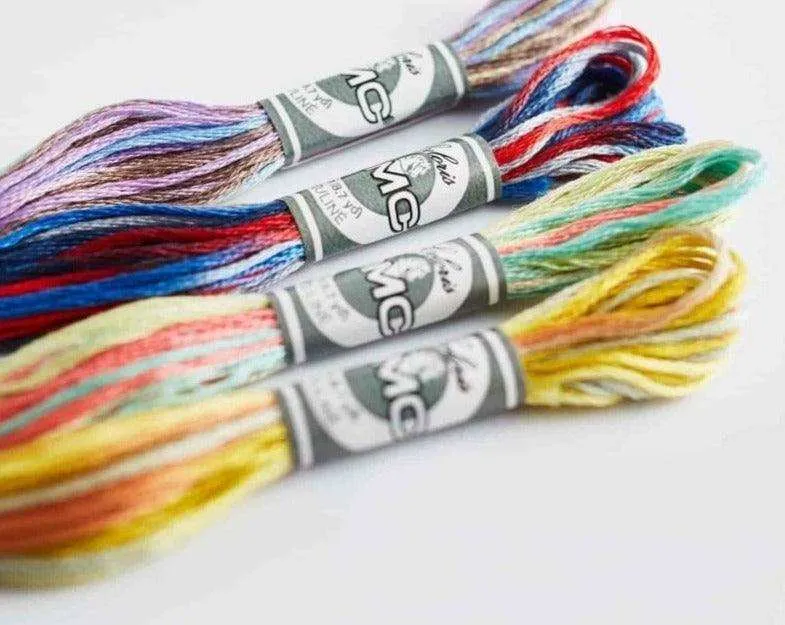 LETISTITCH DMC Mouliné Coloris embroidery thread skein showing variegated colours
