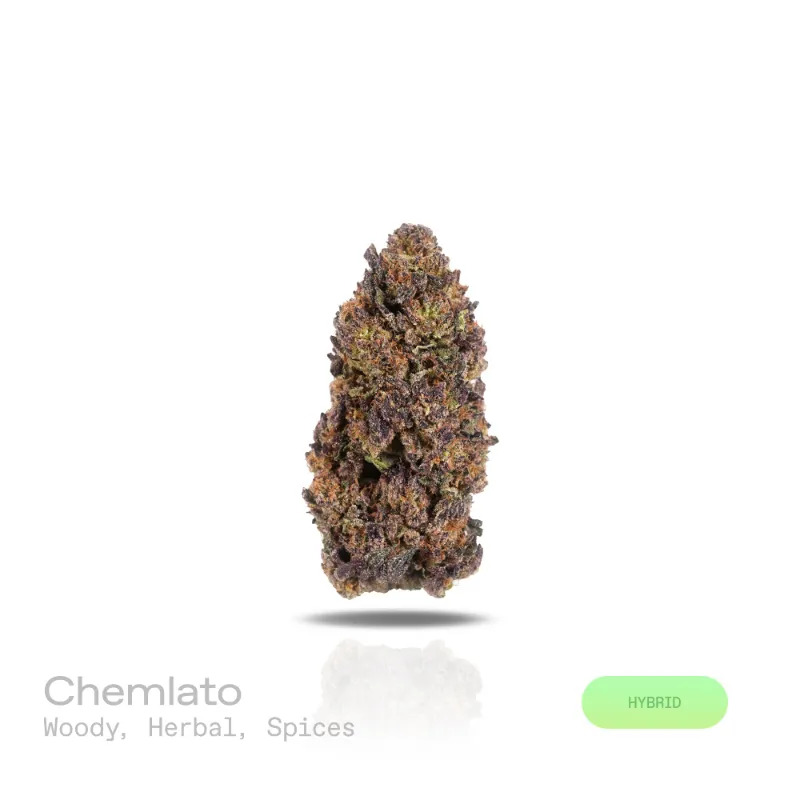 Hipuffy Chemlato THCa Flower Indoor Hybrid dense buds with green and purple coloring