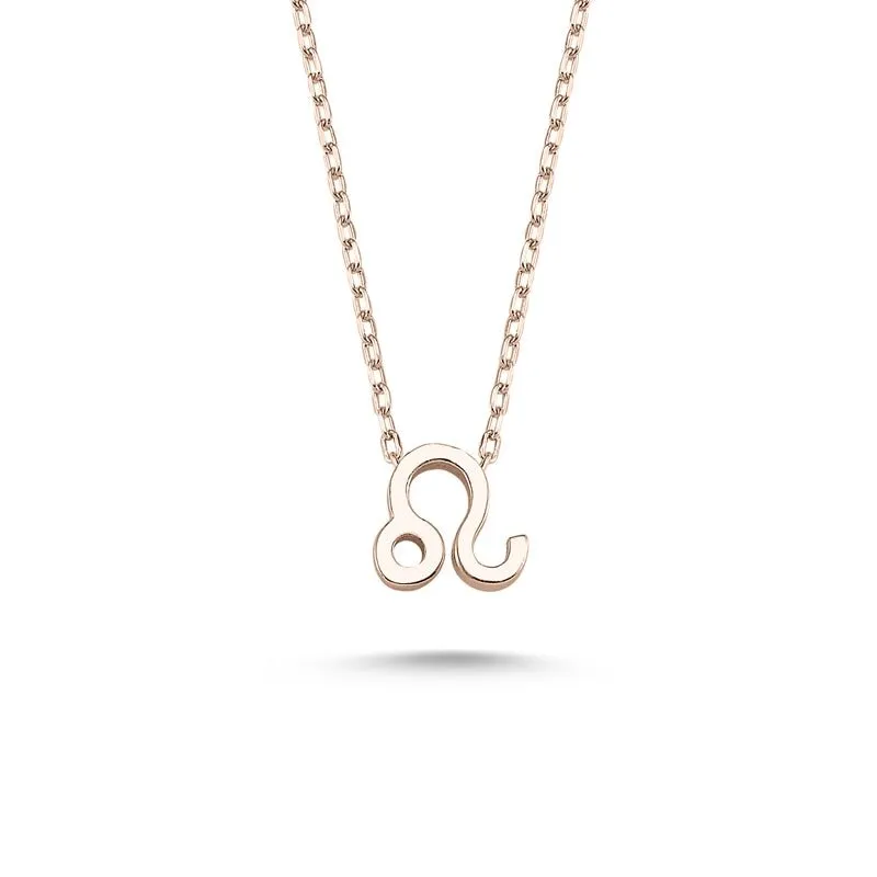 Amorium Jewelry Leo Sign Zodiac Silver Necklace with flat zodiac pendant