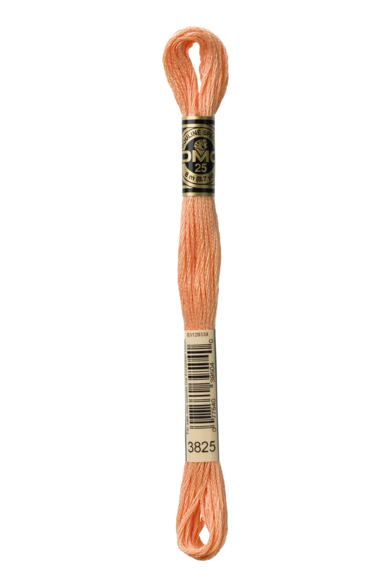 LETISTITCH DMC Mouliné Spécial 117MC-E_3825 embroidery thread skein in Muted Apricot