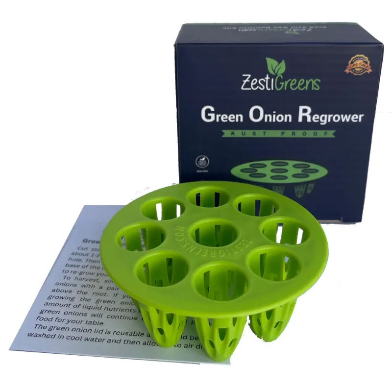 ZestiGreens Easiest Green Onion Regrower kit lid on a mason jar with green onion roots growing
