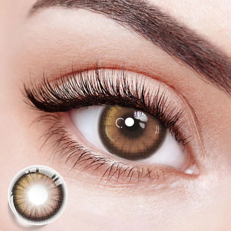 EYESFAV Axis Vision Brown 6 Months colored contact lenses close up