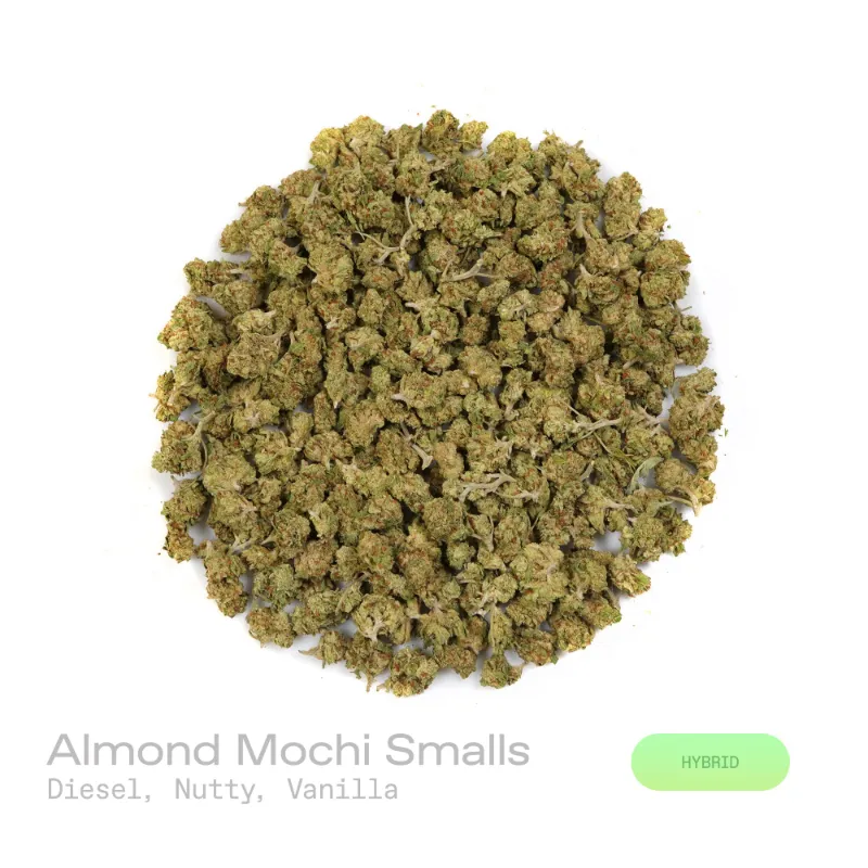 Hipuffy Almond Mochi THCa Flower (Indoor) (Hybrid) showing dense green buds with purple hints and orange pistils