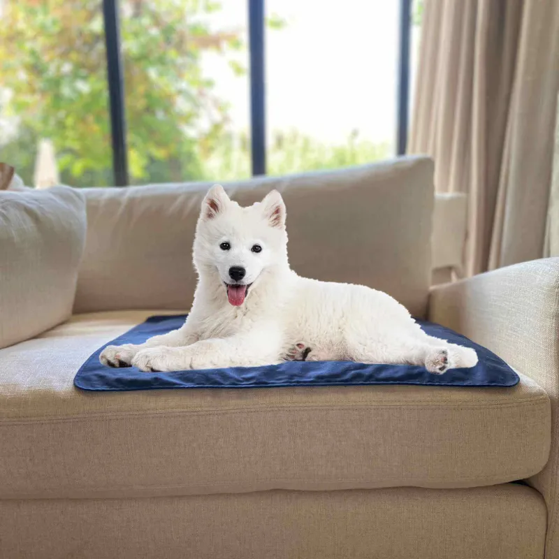 Premium Grounding Pet Grounding Mat with dog resting on it