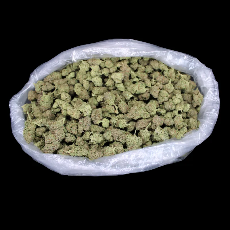 THCA Small Buds Larry Bird Gelato THCA Flower greenhouse buds