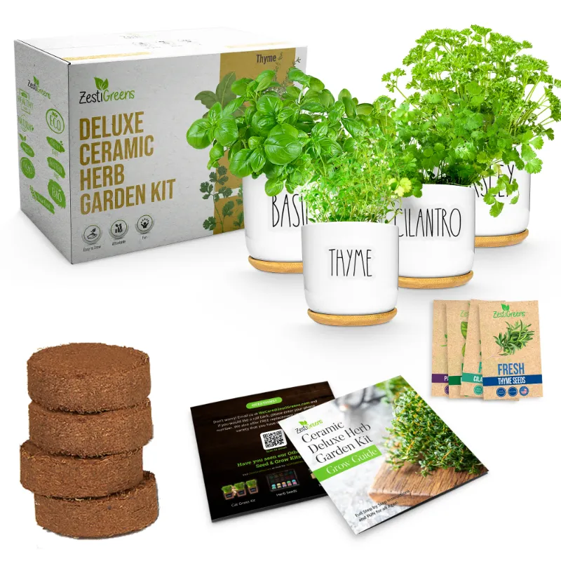 ZestiGreens Ceramic Herb Kit with white ceramic pots on bamboo saucers, seed packets and markers