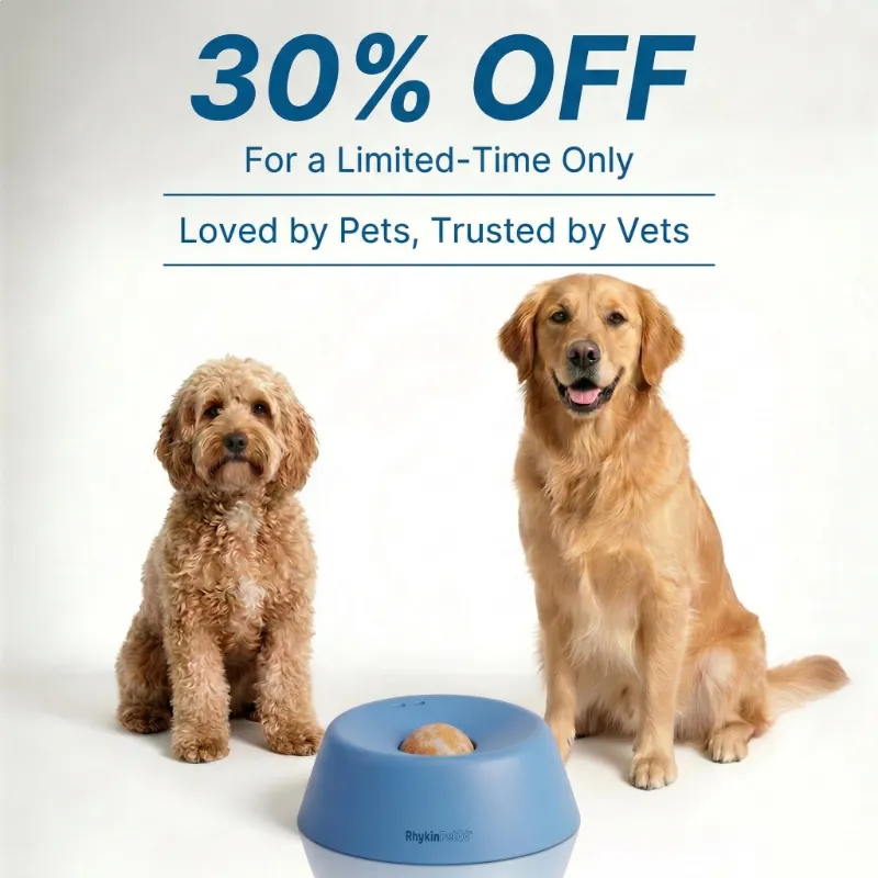 Rhykin Enrichment Bowl showing textured feeding dish that slows pet eating