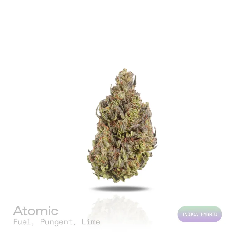 Hipuffy Atomic THCa Flower Indoor Indica Hybrid dense dark green buds with orange pistils