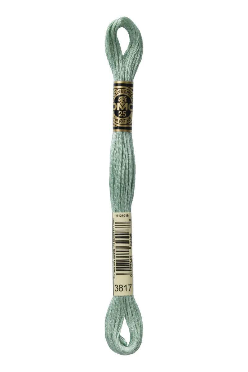 LETISTITCH DMC Mouliné Spécial 117MC-E_3817 embroidery thread in Poplar green