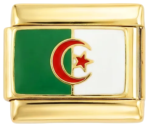 Charms Official Algeria on Gold charm showing Algerian flag design