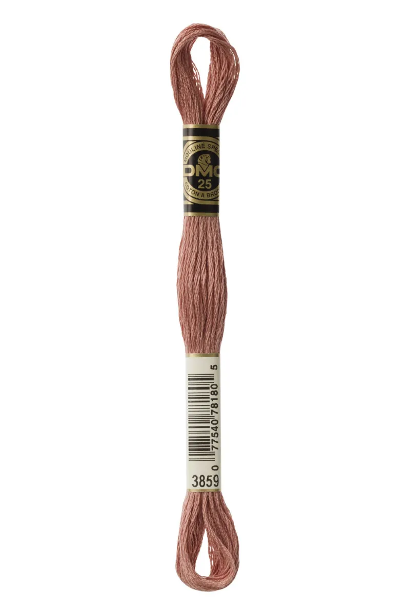 LETISTITCH DMC Mouliné Spécial 117MC-E_3859 embroidery thread skein in clay colour