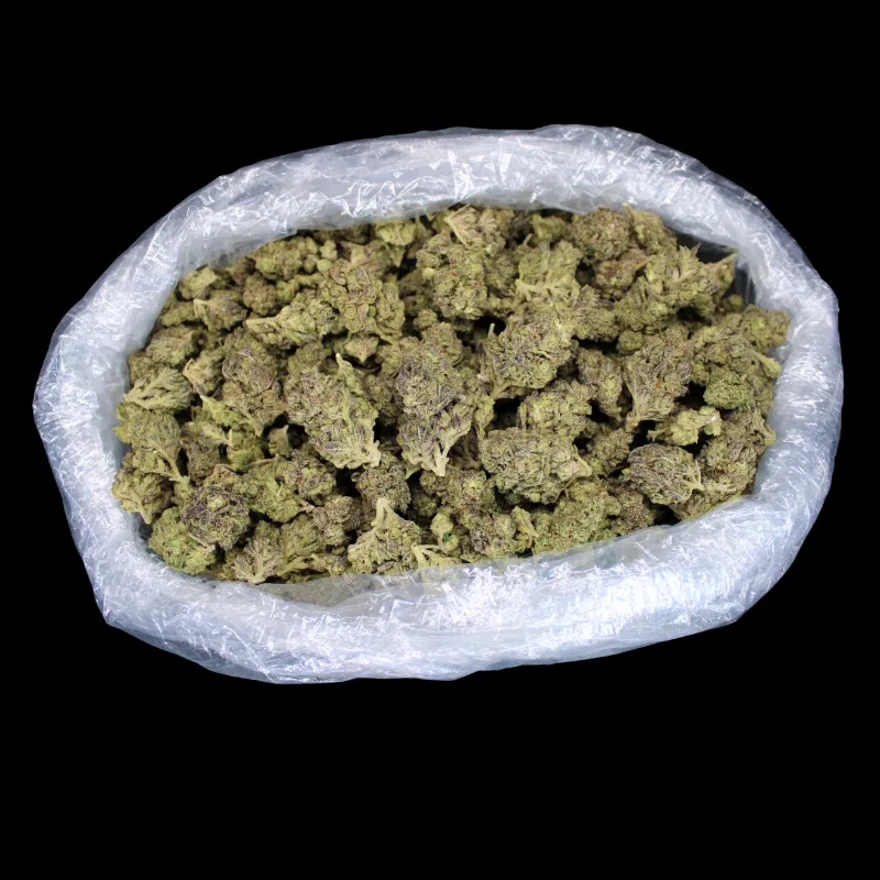 THCA Small Buds Skywalker OG THCA Flower greenhouse buds
