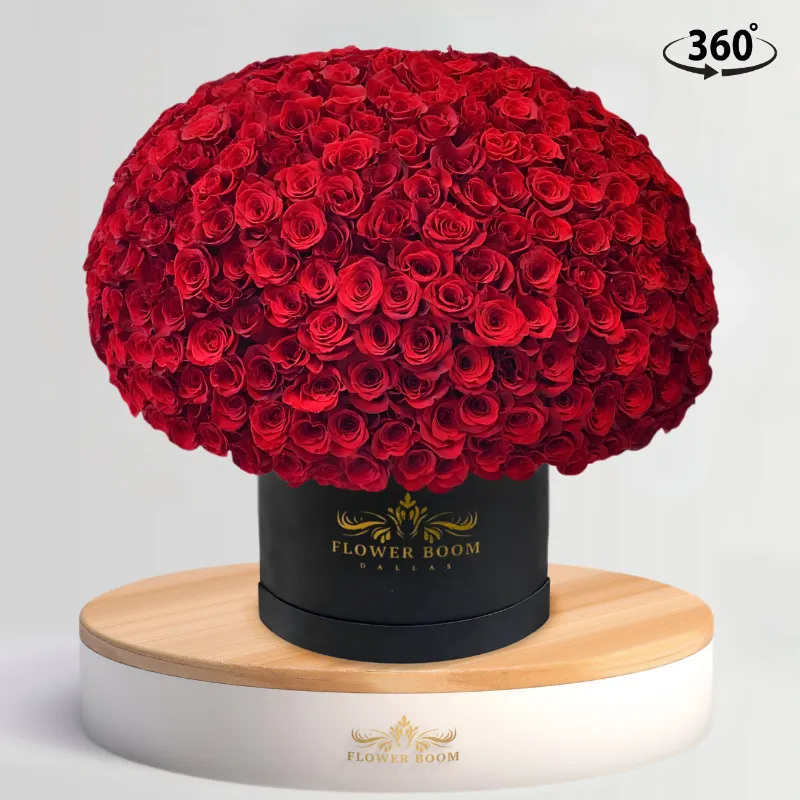 Flower Boom Dallas 300 Red Rose Box with fresh signature red roses in large luxury container
