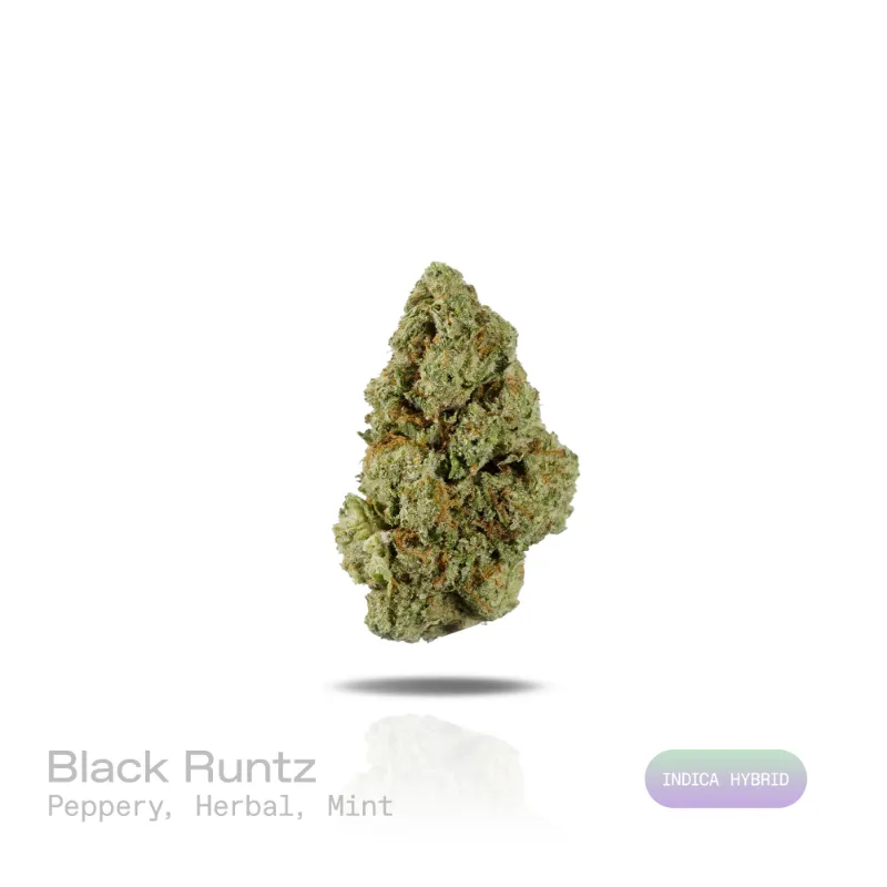 Hipuffy Black Runtz THCa Flower (Indoor) (Indica Hybrid) showing dense green buds with purple hues and orange pistils