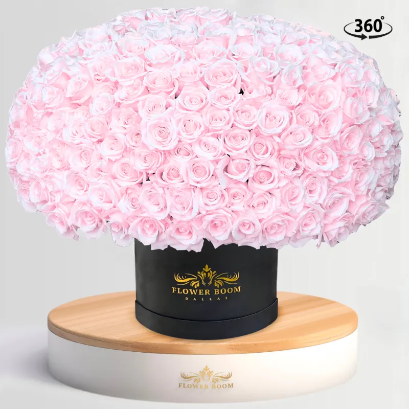 Flower Boom Dallas 300 Light Pink Rose Box with handpicked soft pink roses in signature box