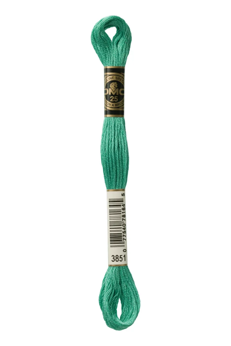 LETISTITCH DMC Mouliné Spécial 117MC-E_3851 embroidery thread skein in Emerald Shard