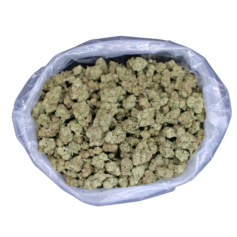 THCA Small Buds Georgia Pie THCA Flower, medium sized buds in jar