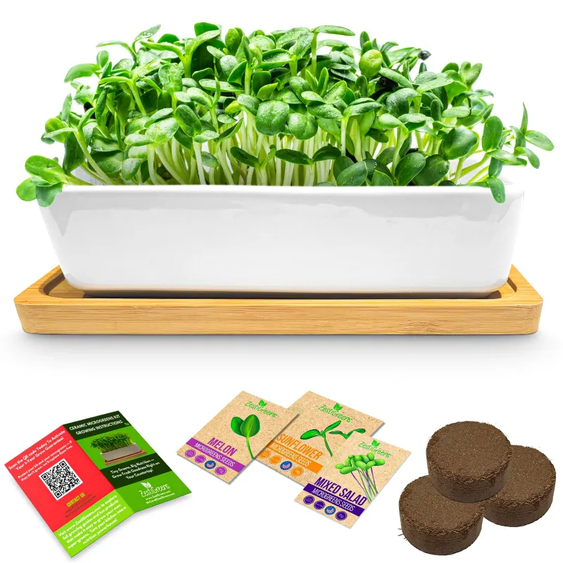 ZestiGreens Ceramic Microgreens Growing Kit with white planter on bamboo tray and organic seed packets