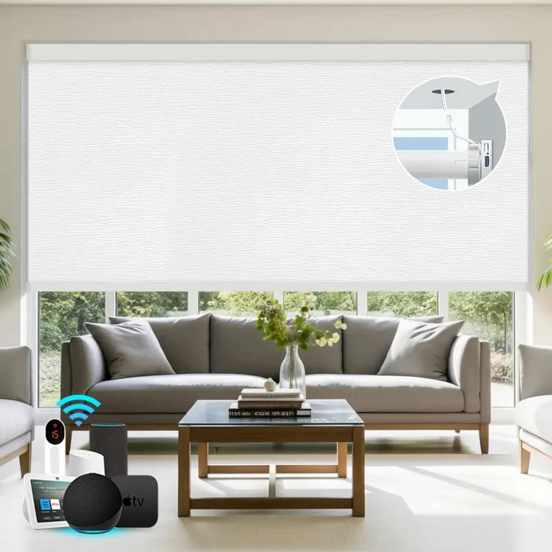 Bringnox Hardwired Motorized Roller Shades 100% Blackout Treebark window shade in neutral textured fabric