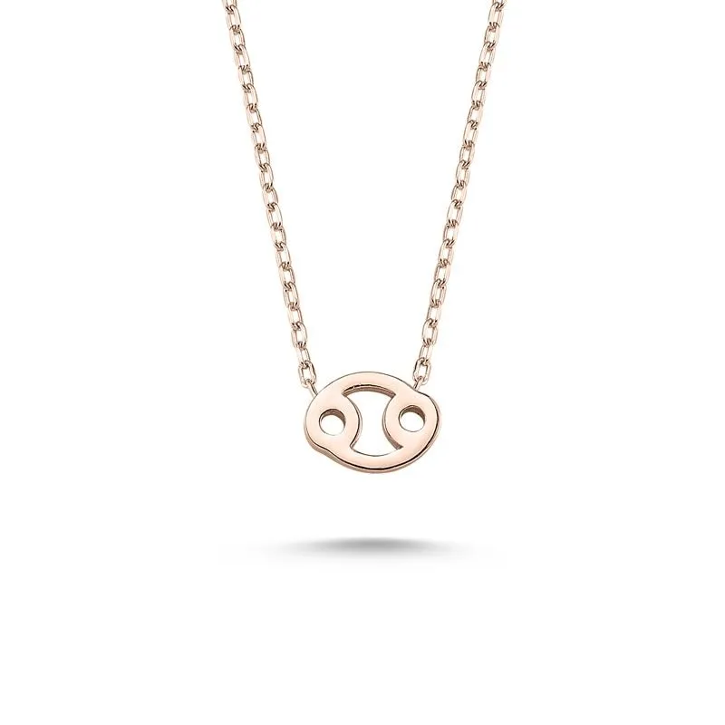 Amorium Jewelry Cancer Sign Zodiac Silver Necklace pendant with adjustable chain