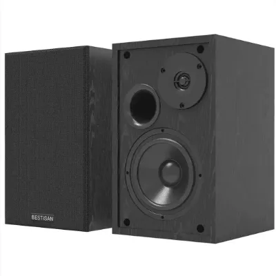 Retrolife Bluetooth 5.0 Bookshelf Speakers with Bass Adjustable in black finish