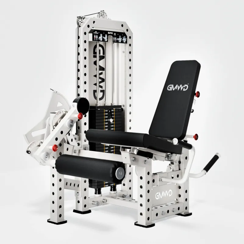 GMWD Fitness Selectorized Leg Extension and Prone Leg Curl Machine LE11 with 255-pound weight stack