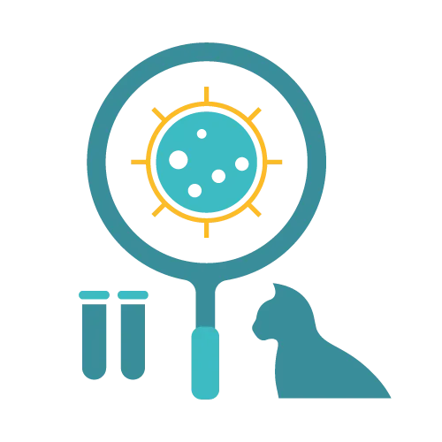 Affordable Pet Labs feline allergy screening panel showing vials for food and environmental trigger analysis.