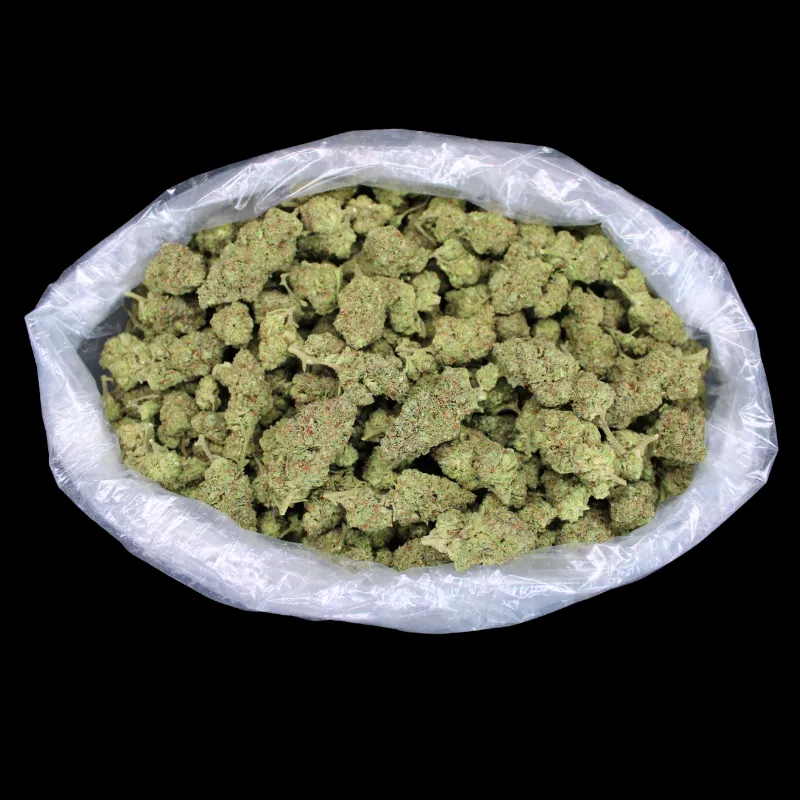THCA Small Buds John Truffolta THCA Flower nicely manicured summer harvest