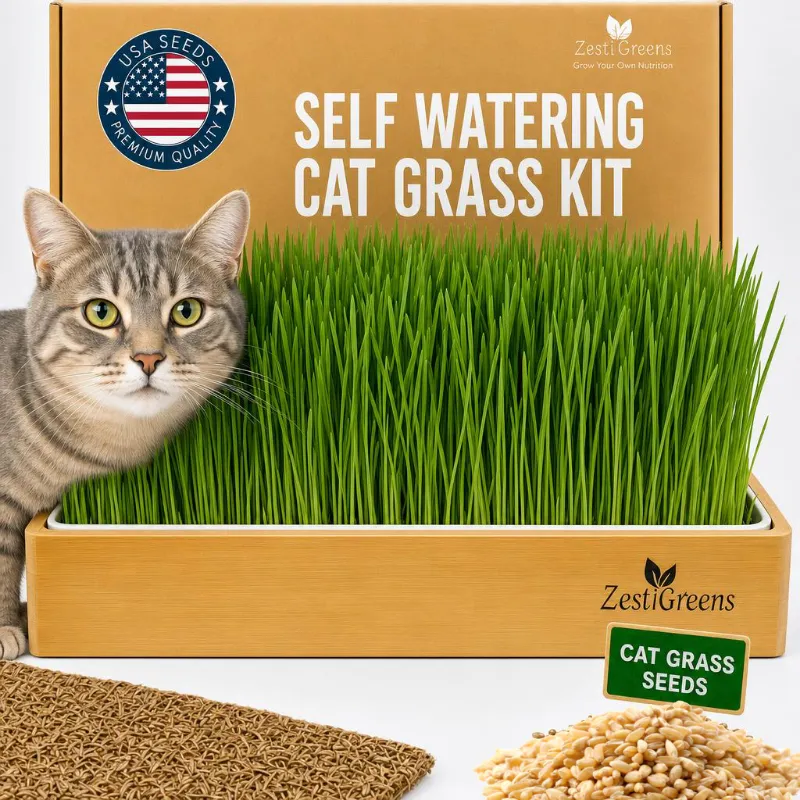 ZestiGreens self-watering cat grass kit with bamboo tray and hemp mat