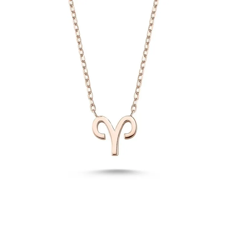 Amorium Jewelry Aries Sign Zodiac Silver Necklace, flat symbol pendant