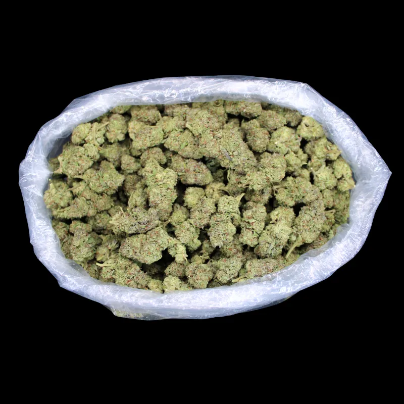 THCA Small Buds Silver Surfer THCA Flower greenhouse buds in mylar bag