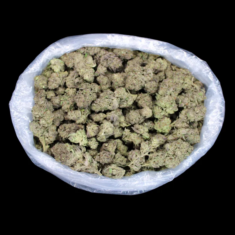 THCA Small Buds Velvet Cream THCA Flower, greenhouse hybrid buds with creamy appearance