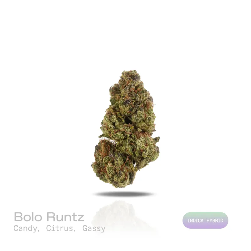 Hipuffy Bolo Runtz THCa Flower (Indoor) (Indica Hybrid) dense green and purple cannabis buds with orange pistils and trichomes