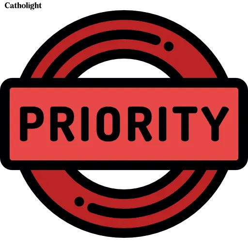 Catholight Priority Production service option for expedited order processing